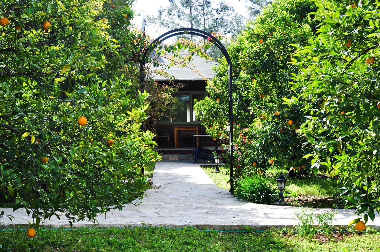 Arcadia Villas Чирали Экстерьер фото