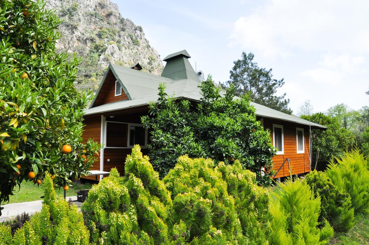 Arcadia Villas Чирали Экстерьер фото