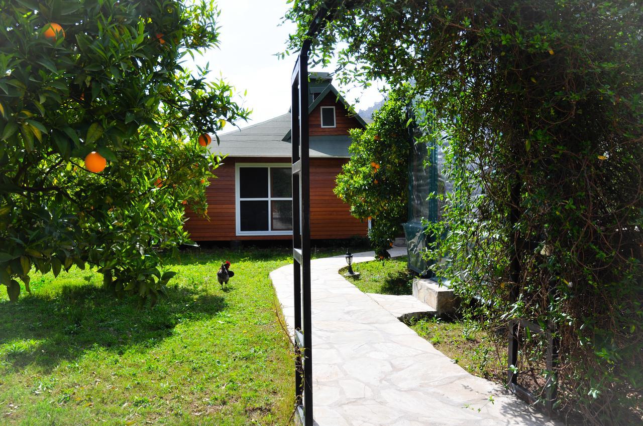 Arcadia Villas Чирали Экстерьер фото